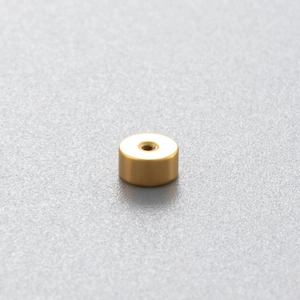 Polished gold stainless steel cylinder piercing accessory with central hole for jewelry