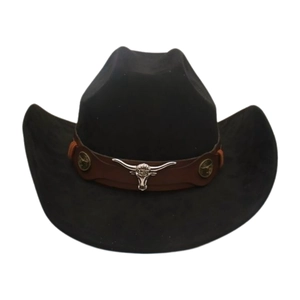 Classic black western cowboy hat with brown band and silver bull head ornament