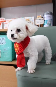 Détail de l'écharpe en tricot rouge pour animaux avec broderie festive porte-bonheur chinoise