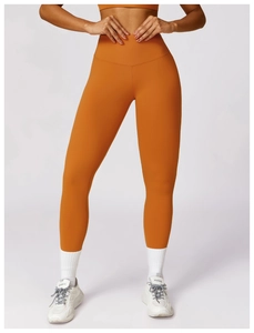 Detailed front view of high-waisted ginger yoga leggings with seamless tummy control design