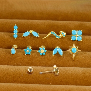 Boucles D'oreilles Cartilage En Acier Inoxydable Bohème Turquoise Fermoir À Vis Piercing Helix Bijoux Pour Femmes Serpent Étoile Fleur