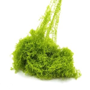 Vista dettagliata di ammassi di muschio finto verde brillante per decorazioni floreali