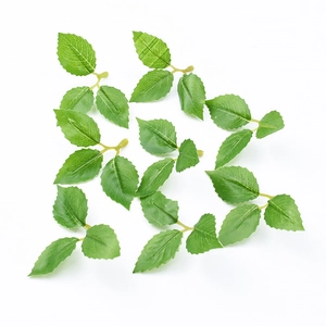 Artificial green rose leaves and stems for DIY flower arrangements on white background