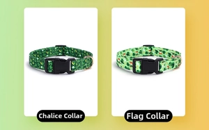 Detail of St. Patrick's Day dog collars with green clovers and rose gold D-rings