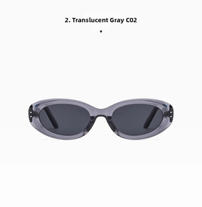 Detail view of oval translucent grey sunglasses frame with dark grey lenses and C02 finish