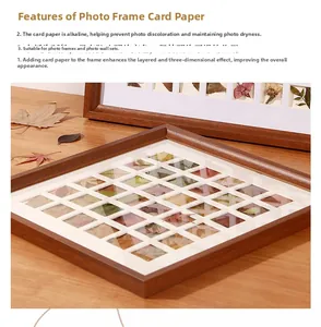 Detail of wooden shadow box frame with alkaline mat board for leaf specimens