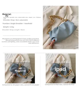 Detail view of light blue dumpling bag with chunky gold chain strap and dimensions info
