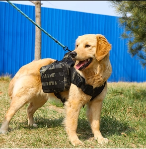 Tactical camouflage dog backpack vest with side pouches on Golden Retriever