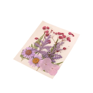 DIY Trockenblumen Set mit lila Gänseblümchen und rosa Blüten für handgemachte Kunstwerke