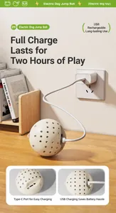 Detail view of electric dog ball with Type-C charging port and 2-hour battery life