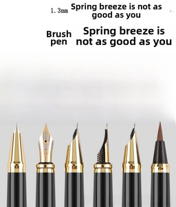 Detail view of six interchangeable fountain pen nibs and a calligraphy brush tip set