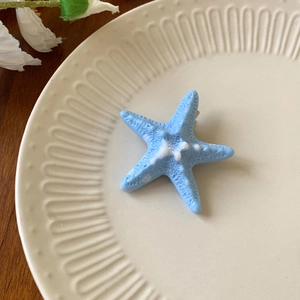 Detailed macro view of light blue starfish hair clip with white spots on elegant ceramic plate