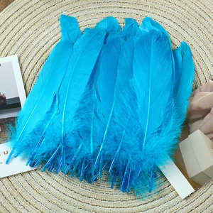 Detail of natural blue goose feathers on woven mat for DIY dreamcatcher crafts