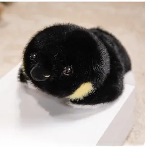 Gros plan d'une peluche pingouin douce avec détails jaunes sur un tapis douillet de salon