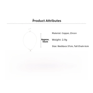 Vue détaillée du collier pendentif en zircon montrant le poids 2,9g et la longueur 43cm