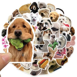 Close-up of realistic dog stickers showing various funny expressions and breeds