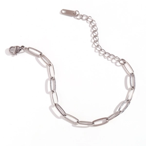 Detail of silver paperclip chain bracelet with lobster clasp and extension link