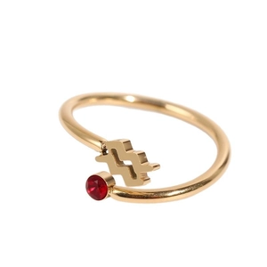 Minimalist gold titanium zodiac ring with red zircon stone and wave design on white backdrop