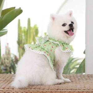 Detail of floral pet harness dress with lace trim on a small dog in a home setting