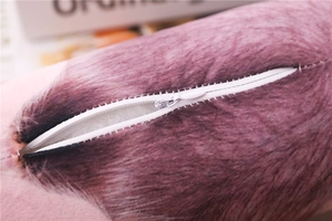 Dettaglio macro della cerniera bianca su una fodera per cuscino in peluche viola