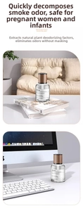 160ml glass bottle fragrance spray with wood texture cap in a modern living room setting