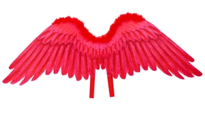 Detail of red feather angel wings with elastic straps for Halloween costume stage performance
