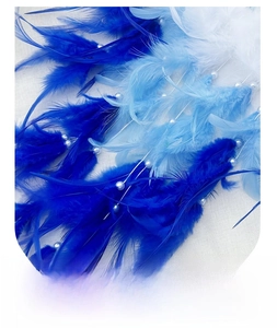Detail of dream catcher with deep blue and white feathers and pearl bead decorations