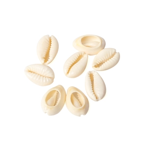 Flat lay of eight natural cream-colored seashells for DIY jewelry making on white background