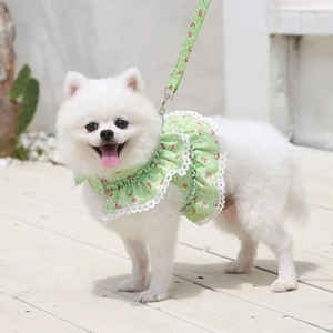 Detail of floral pet harness dress with lace trim and matching leash on Pomeranian