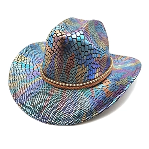 Chapeau de cowboy arc-en-ciel avec texture serpent irisée et ruban tressé marron