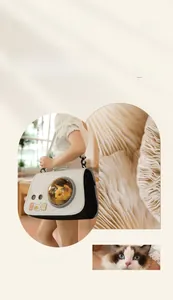 Close-up of cream pet carrier with transparent space capsule window and toast print