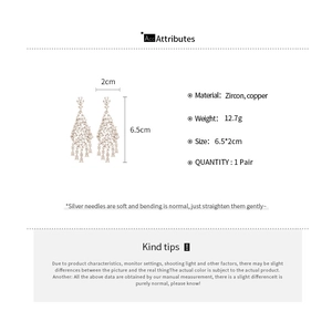 Vue détaillée de boucles d'oreilles pendantes à pompons avec zircons et aiguilles en argent