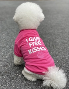 Pink dog T-shirt with I Give Free Kisses print worn by a white Bichon Frise puppy