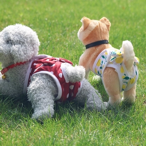 Close-up of red polka dot and white lemon dog diapers on soft green grass