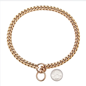 Close-up of 10mm gold Cuban link dog collar with coin for size reference