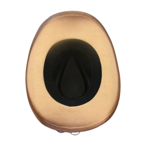 Vertical top view showing the interior black sweatband of the light brown woven cowboy hat