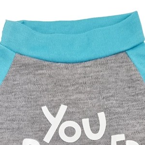 Close-up of grey dog t-shirt featuring blue ribbed crew neck and white You print