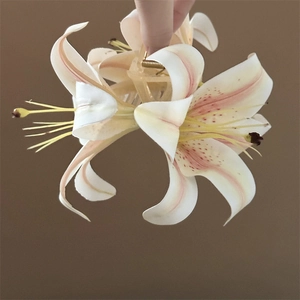 Macro detail of lily flower hair claw clip with pink stripes and gold spring mechanism