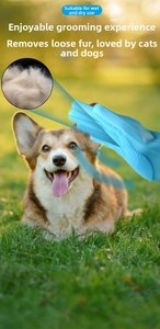 Detail of blue silicone pet grooming glove with fine bristles for massaging a Corgi