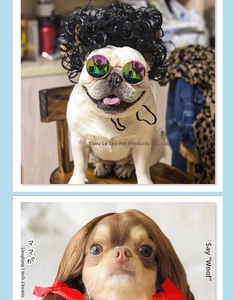 Funny pet costume set featuring a black afro wig with sunglasses and brown long straight hair