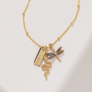 Detailed macro shot of gold necklace with 1989 tag, snake and blue dragonfly charms