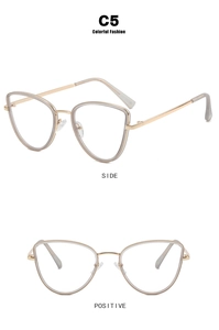 Detail view of cat eye glasses frame in transparent grey and gold metal temples