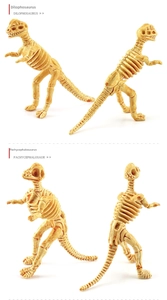 Macro detail of Dilophosaurus and Pachycephalosaurus fossil skeleton toy models