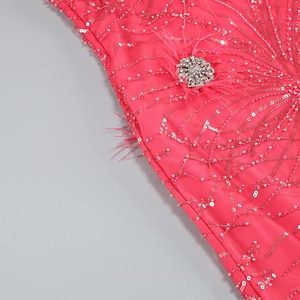 Detail of fuchsia evening dress with silver sequins, rhinestones and feather accents