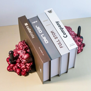 Gothic skull bookends in dark red resin with black sword handle detail on bookshelf