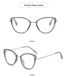 Detail view of cat eye glasses frame in transparent grey and silver metal temple