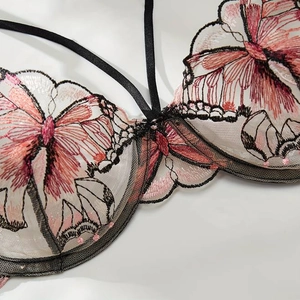 French style sexy lace bra set with butterfly embroidery on semi-transparent white mesh
