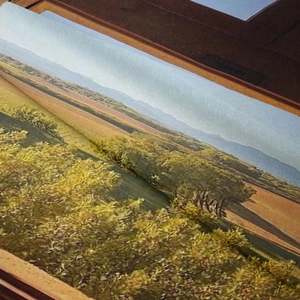 Detail shot of the landscape printed tapestry showing high-quality fabric texture and scenery