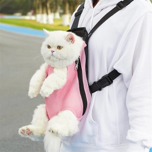 Outdoor lifestyle view of pink breathable mesh pet carrier backpack with adjustable straps