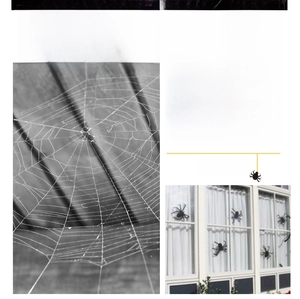 Macro detail of fine white spider web mesh and realistic black spiders for Halloween decor